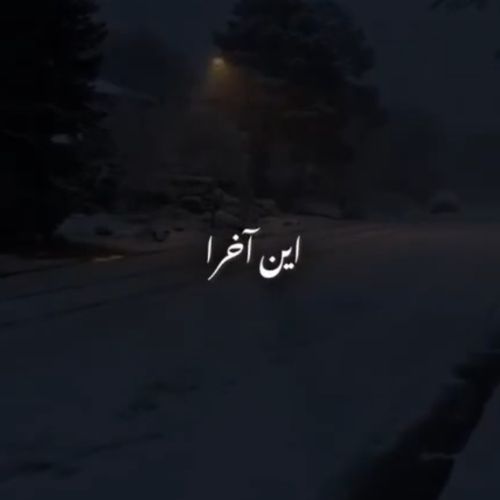 دانلود آهنگ هایده و محسن چاوشی به نام این آخرا (هوص مصنوعی)